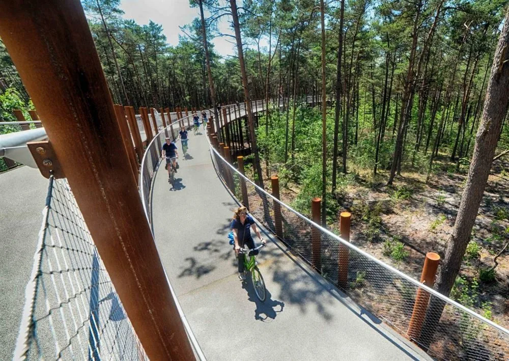 Estakada rowerowa nad lasem na palach śrubowych, Limburgia, Belgia