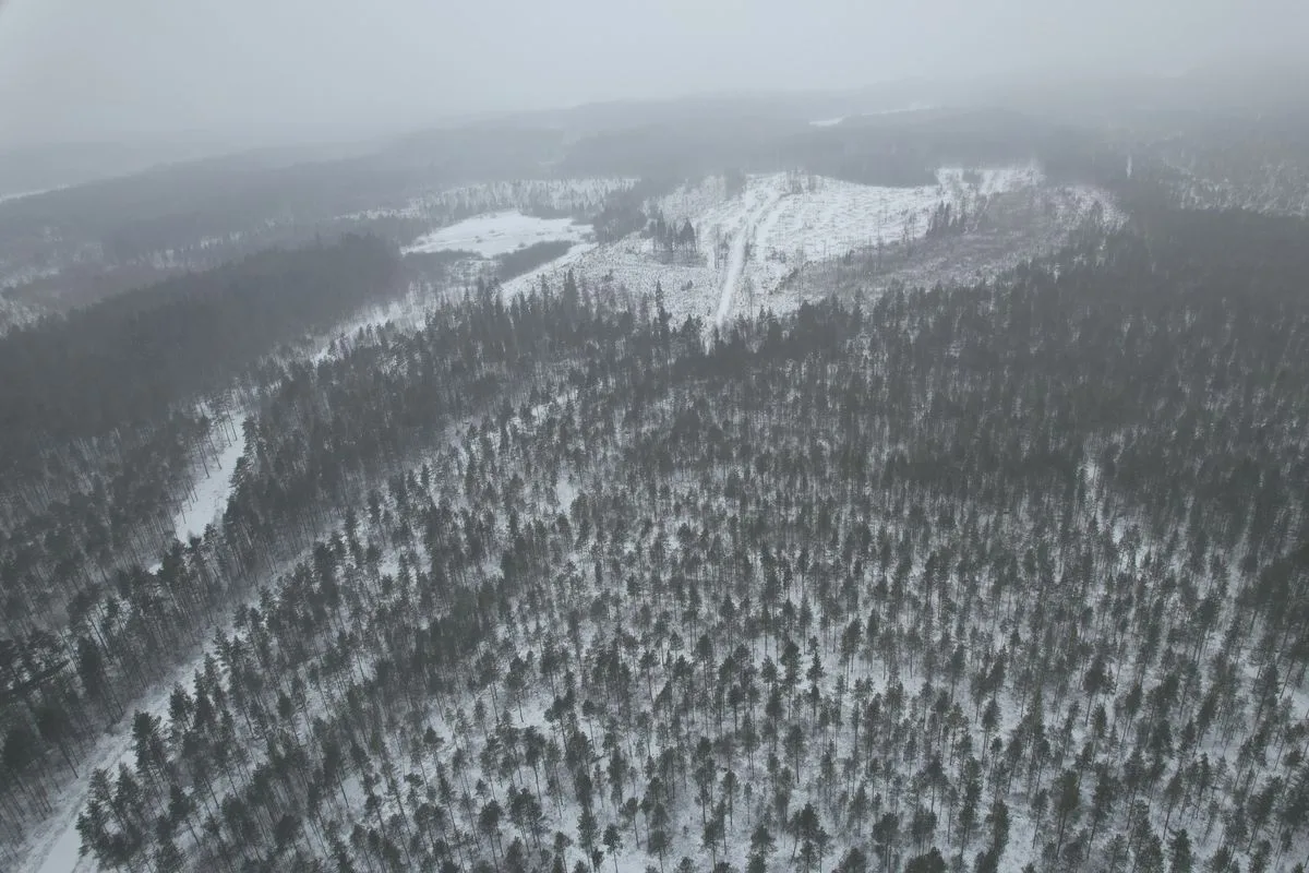Farma fotowoltaiczna Hallanvahti